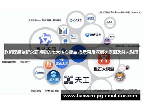 赵鹏深度剖析欠薪问题的七大核心要点 揭示背后深层次原因及解决对策