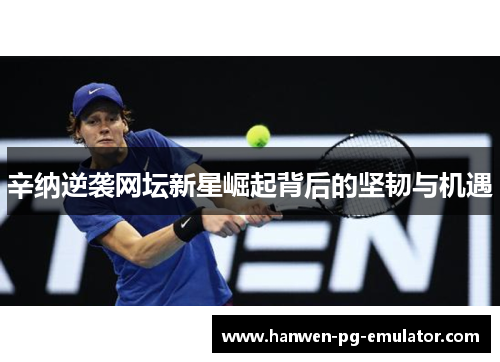 辛纳逆袭网坛新星崛起背后的坚韧与机遇
