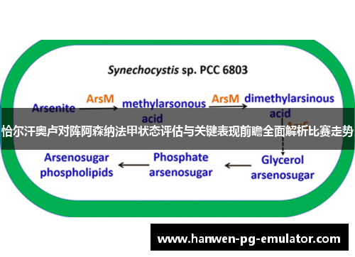 恰尔汗奥卢对阵阿森纳法甲状态评估与关键表现前瞻全面解析比赛走势